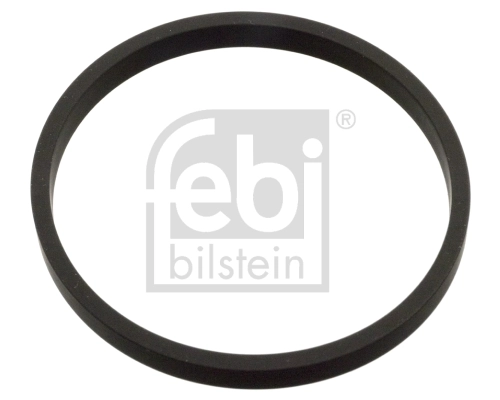 Seal Ring, throttle body
